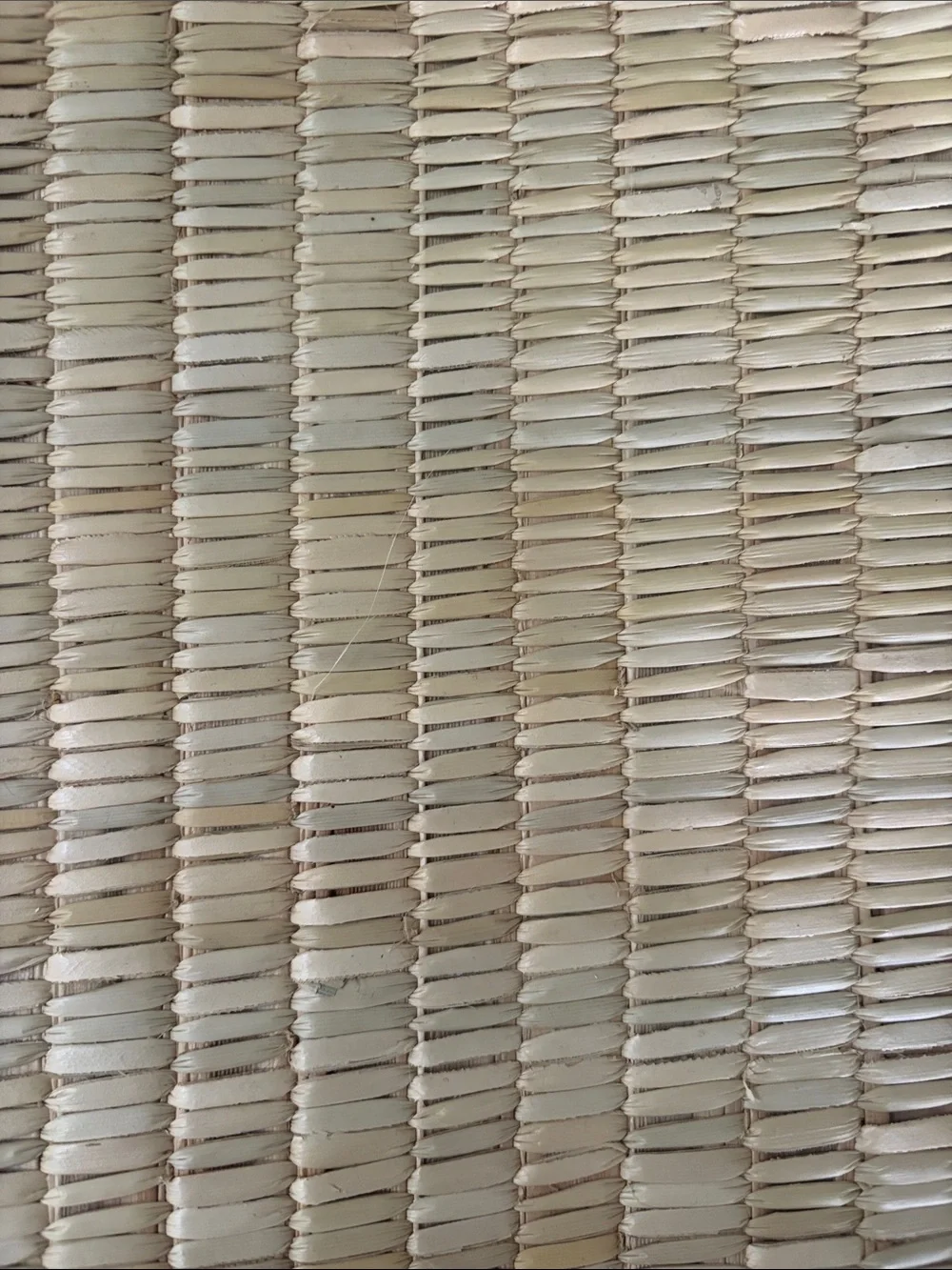 Woven Straw Zip Pouch - Natural